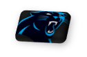 Panthers